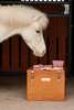 Szczotka owalna do sierści Sammy Kids Pony Kentucky Grooming Deluxe - różowa