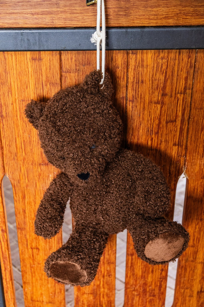 Kentucky zabawka do boksu Bear - brązowy