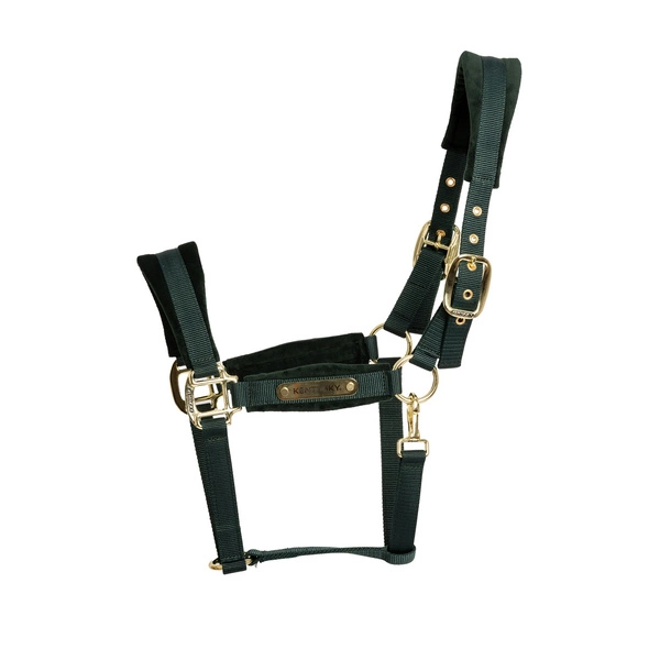 Kentucky kantar anatomiczny Velvet - butelkowa zieleń