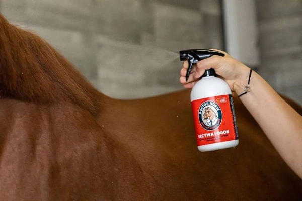 Odżywka do rozczesywania Doctor Horse Grzywa i ogon z brokatem 500ml