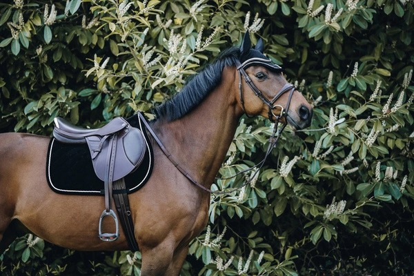 Kentucky czaprak Corduroy - czarny