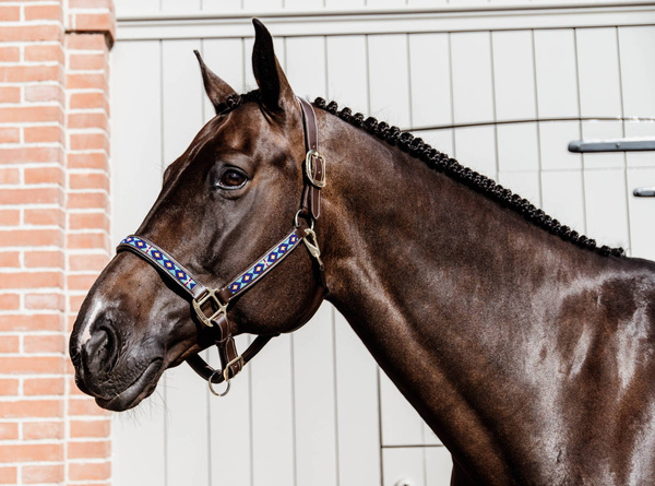 Kentucky kantar Pearls - niebieski