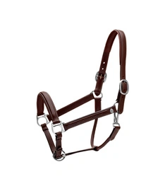 Dy'on kantar  Head Collar Fancy - brązowy
