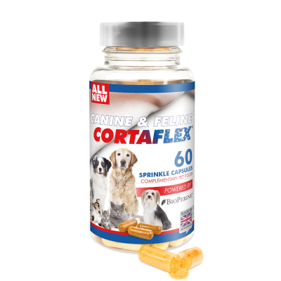 Cortaflex Canine&Feline 60x512,5 mg w kapsułkach