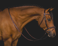 Ogłowie Equiline BJ300 - brązowe