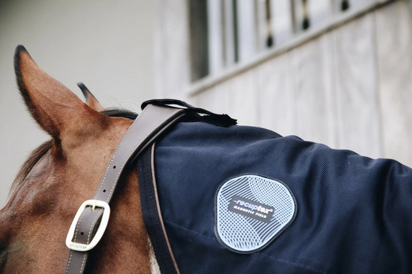 Kentucky magnetyczny kaptur do derki Recuptex