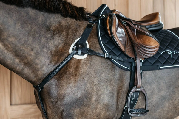 5-punktowy skórzany napierśnik Dy'on D Collection - czarny