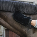 Rękawica do pielęgnacji Sheepskin - Kentucky Grooming Deluxe- black