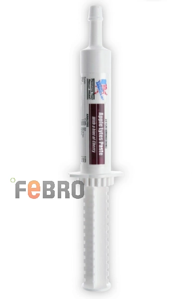 Cortaflex Elektrolity Apple Lytes Paste 2x15ml (2 dawki)