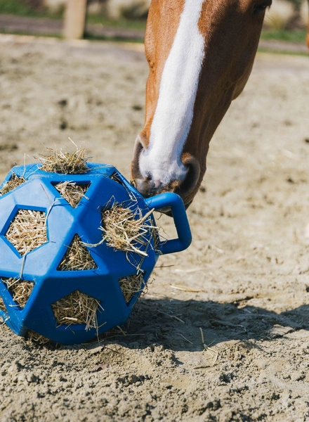 Kentucky elastyczna piłka na siano Relax Horse Play & Hay Ball - niebieska