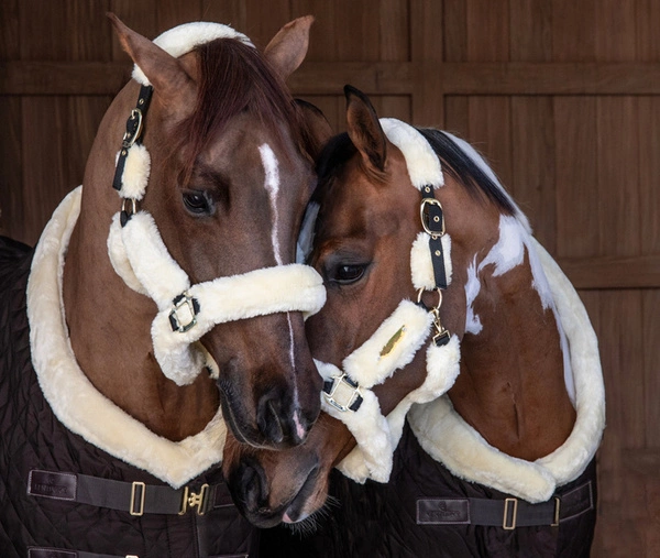 Kentucky kantar obszyty futrem - naturalny