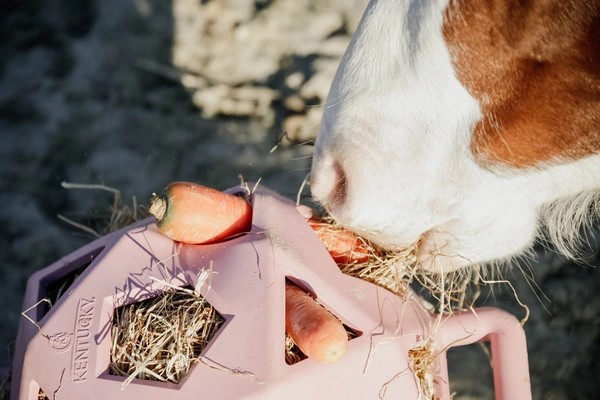 Kentucky elastyczna piłka na siano Relax Horse Play & Hay Ball - pudroworóżowa