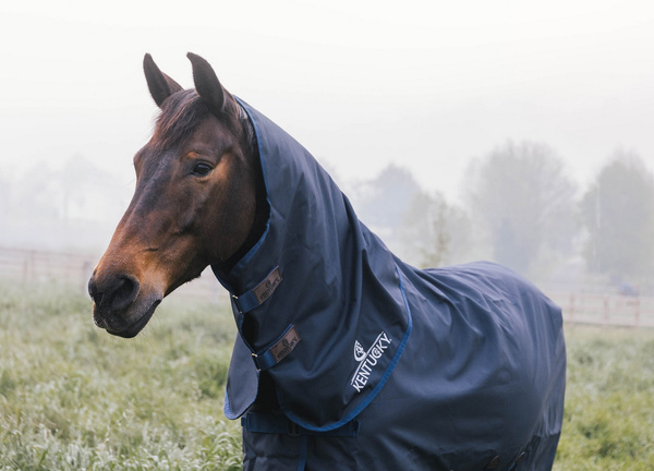 Kentucky kaptur do derki All Weather Waterproof Comfort 200g - granat