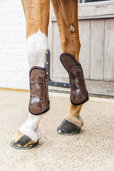 Kentucky Tendon Boots Elastic Knee Protection na przednie nogi - brązowe
