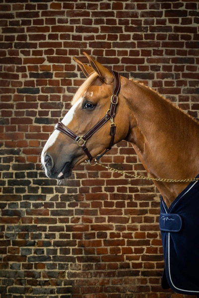 Dy'on kantar Leather