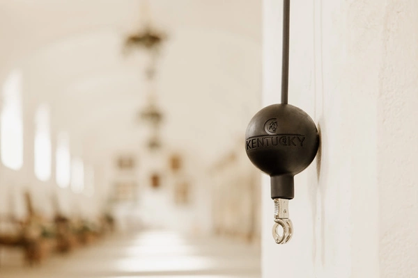 Kentucky Horse Box Lead & Cross Ties Silicone - czarny