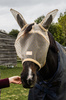  Kentucky Fly Mask Heart - maska na owady - beżowa