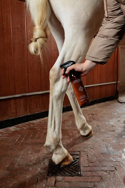 GD Green Spot & Dust Remover 500ml - suchy szampon Kentucky Grooming Deluxe