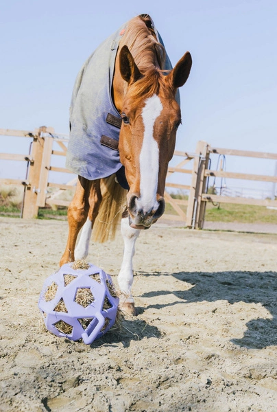 Kentucky elastyczna piłka na siano Relax Horse Play & Hay Ball - fioletowa
