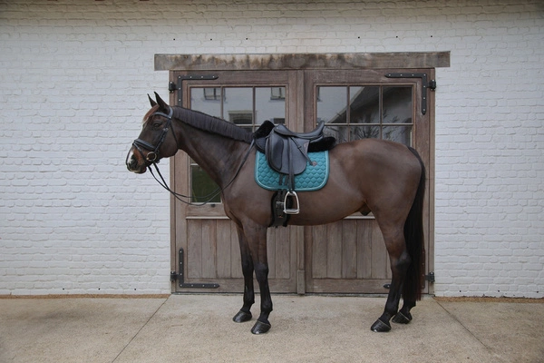 Podkładka Kentucky Sheepskin Half Pad Absorb 10mm - czarna