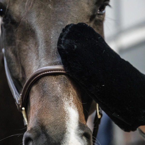 Rękawica do pielęgnacji Sheepskin - Kentucky Grooming Deluxe- black