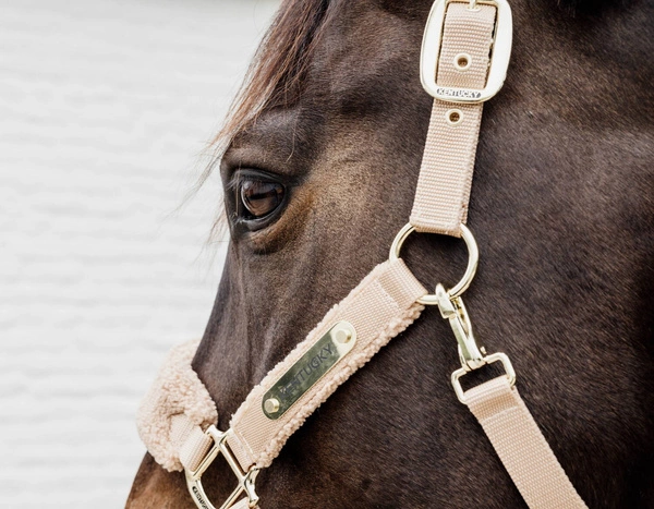 Kentucky kantar Teddy Fleece podszyty puchatym polarem - beżowy