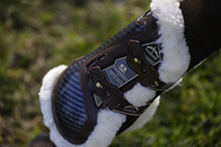 Veredus ochraniacze na tył Carbon Gel Absolute Save The Sheep - brązowe