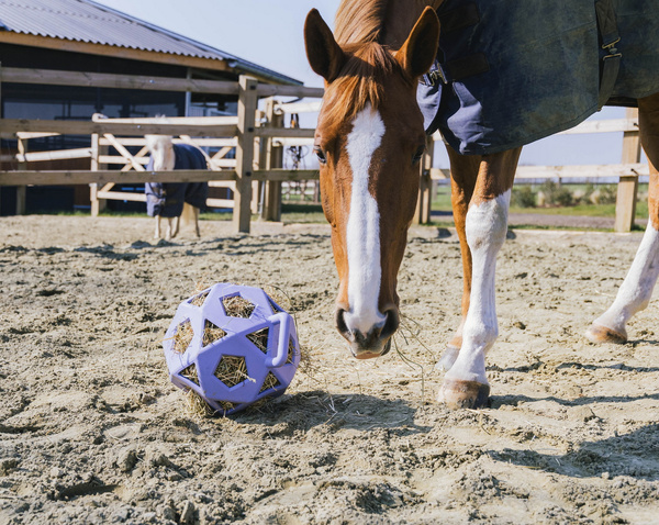 Kentucky elastyczna piłka na siano Relax Horse Play & Hay Ball - fioletowa