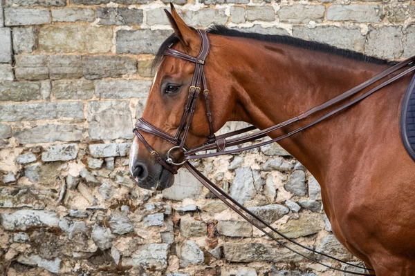 Dy'on wodza pomocnicza D Collection 1/2