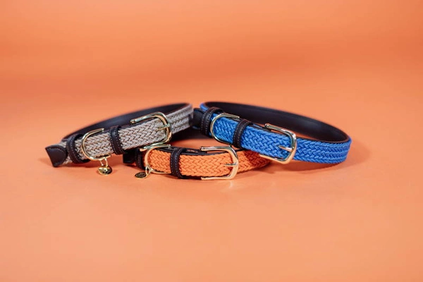 Pleciona obroża dla psa Kentucky - beżowa