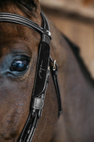 Dy'on Blinkers Fancy