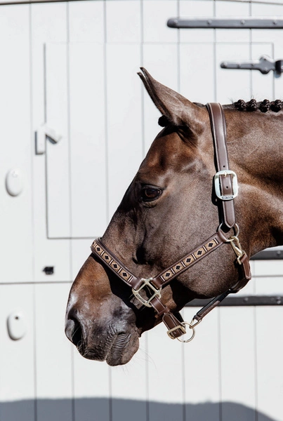 Kentucky kantar Pearls - złoty