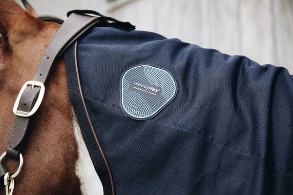 Kentucky magnetyczny kaptur do derki Recuptex