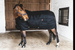 Kentucky derka stajenna Classic 300g - czarna
