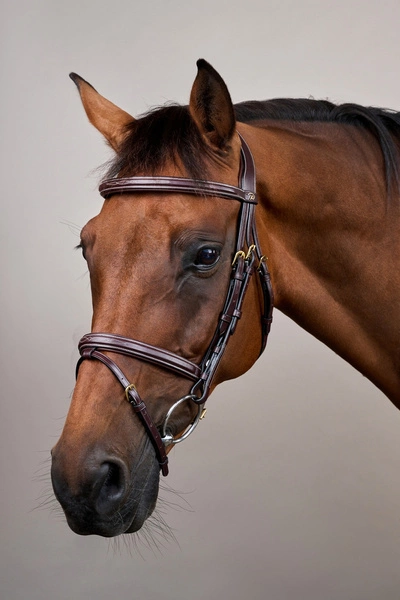 Ogłowie Dy'on D Collection Flash Noseband - brązowe