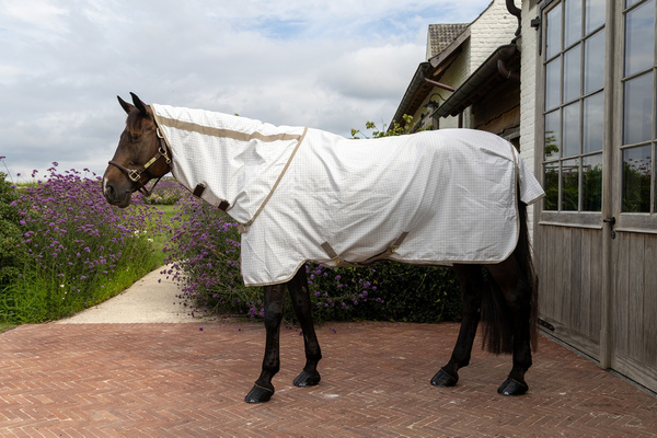 Derka Kentucky Sweet Itch Fly & Summer Sheet Comfort