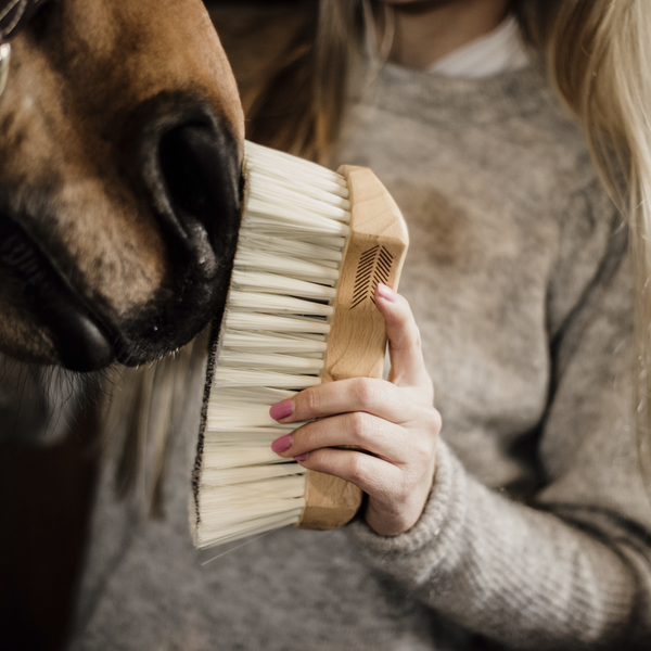 Miękka szczotka ze średniej długości włosiem - Kentucky Grooming Deluxe