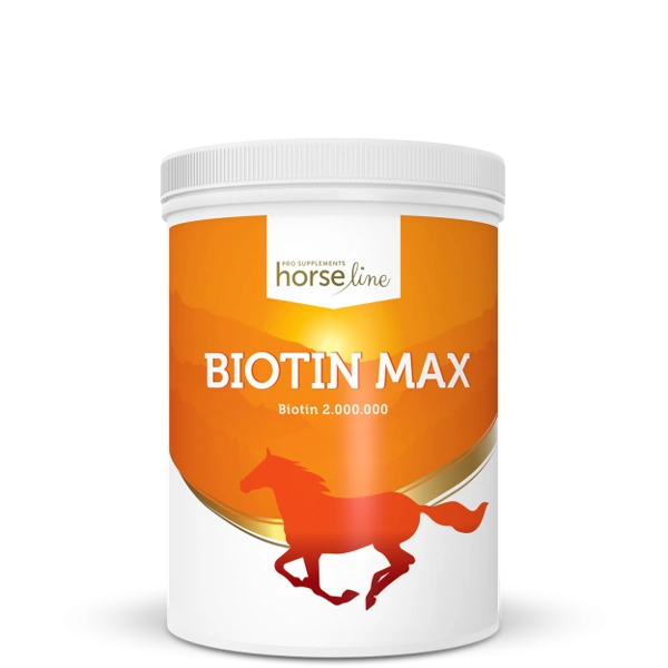 HorseLinePRO BiotinMax 1000g