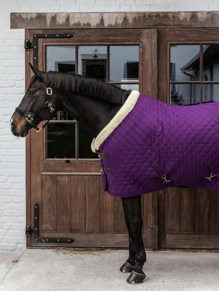 Kentucky derka stajenna Show 160 g - fioletowa