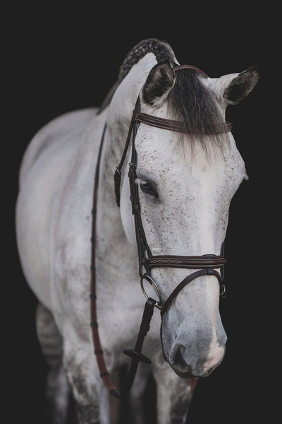 Ogłowie Equiline z przeszyciami BJ301 - brązowe