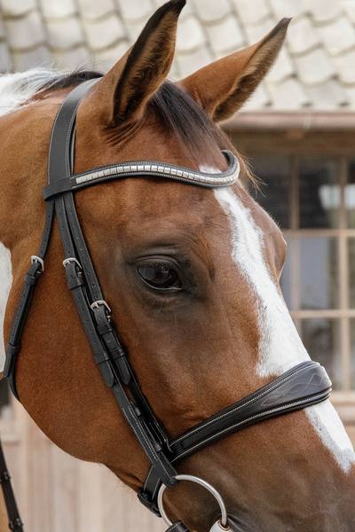 Anatomiczny skórzany nachrapnik bez skośnika Dy'on US Jumping - czarny