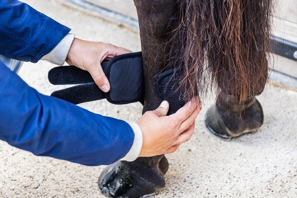 Kentucky ochraniacze na tył Eventing Boots 3D Air Flow Short - czarne