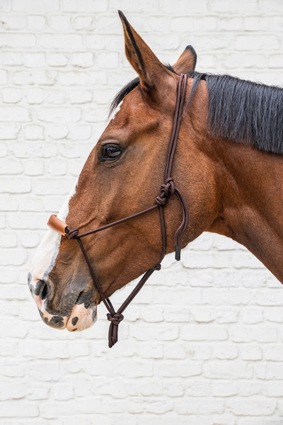 Kantar sznurkowy Kentucky Grooming Deluxe - brązowy