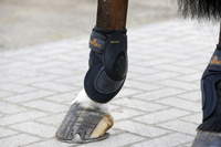 Kentucky ochraniacze Deep Fetlock