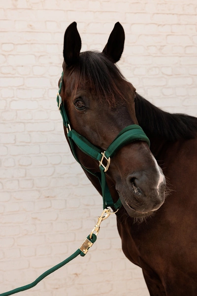 Kentucky kantar anatomiczny Velvet - butelkowa zieleń