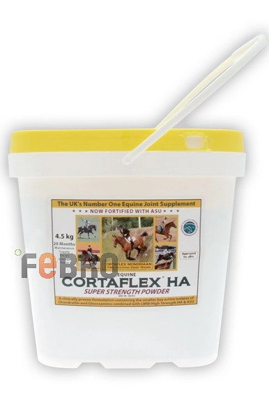 CORTAFLEX HA Super Strength Powder 4,5kg (zapas na 20 m-cy)