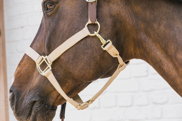 Kentucky kantar Nylon Halter Breakaway - beżowy