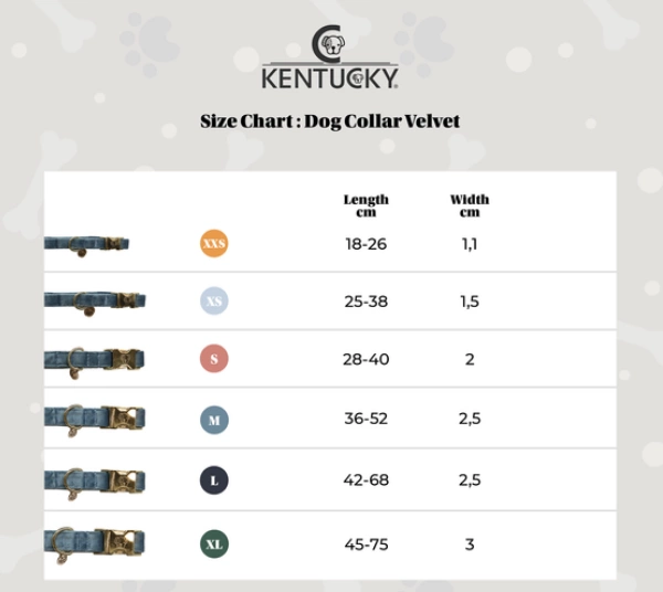 Obroża Kentucky Velvet - błękitna