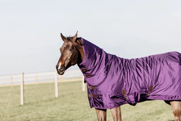 Kentucky derka padokowa All Weather Waterproof Pro 160g - fioletowa