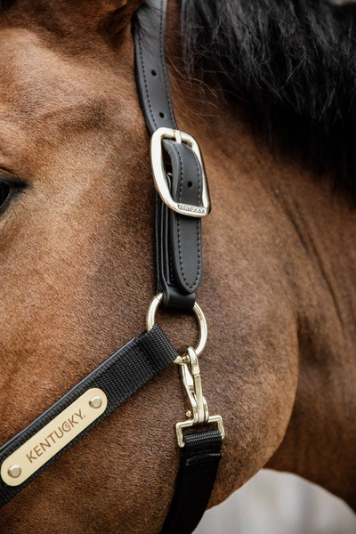 Kentucky kantar Nylon Anatomic - czarny